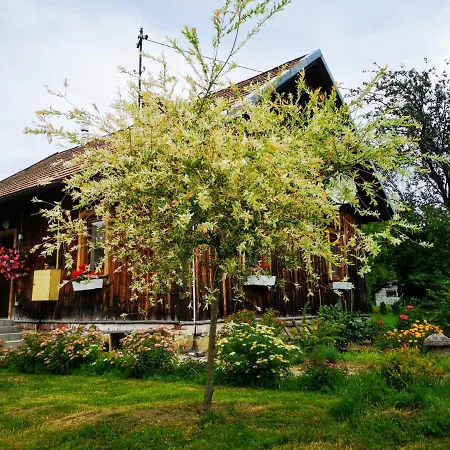 Сasa de vacaciones Wies Odnowa Krynica-Zdrój