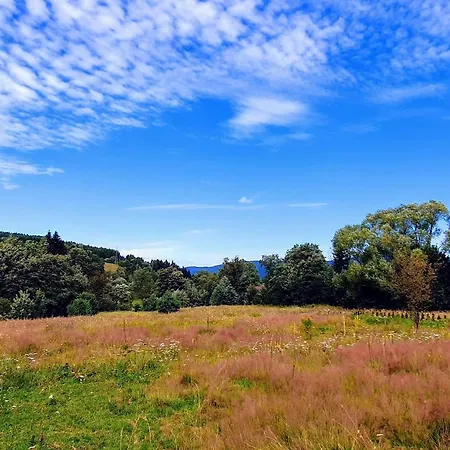 Wies Odnowa * Krynica Zdroj