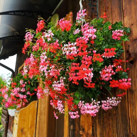 Holiday home Wies Odnowa Krynica Zdroj