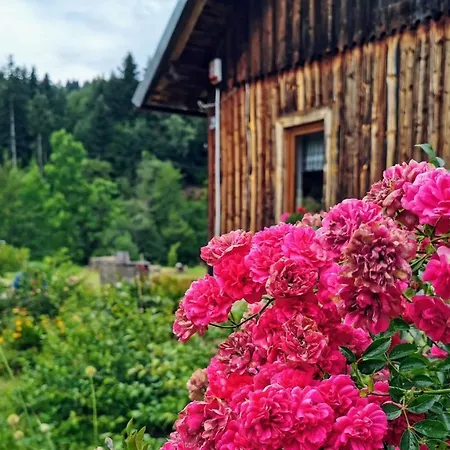 Wies Odnowa Prázdninový dům Krynica-Zdrój
