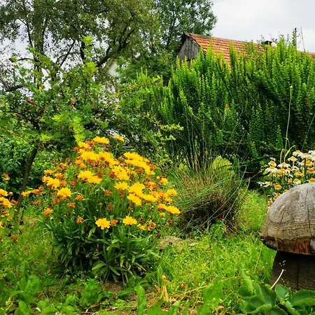 Wies Odnowa Prázdninový dům Krynica-Zdrój