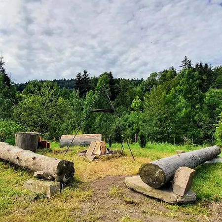 Wies Odnowa Holiday home Labowa