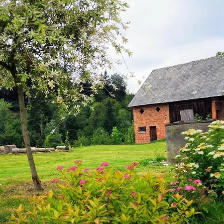 Holiday home Wies Odnowa