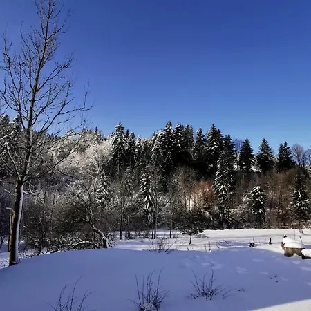 Wies Odnowa *