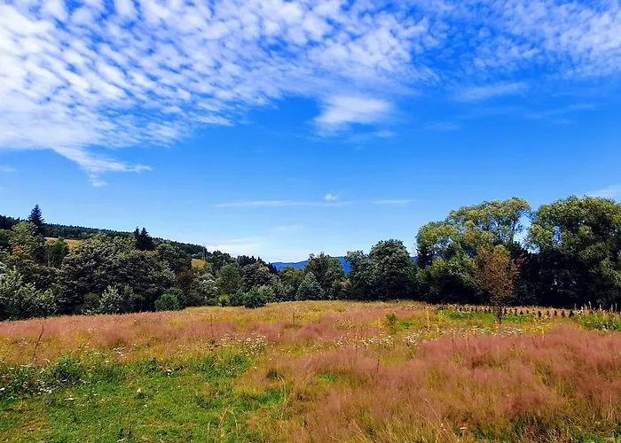Wies Odnowa * Krynica Zdroj