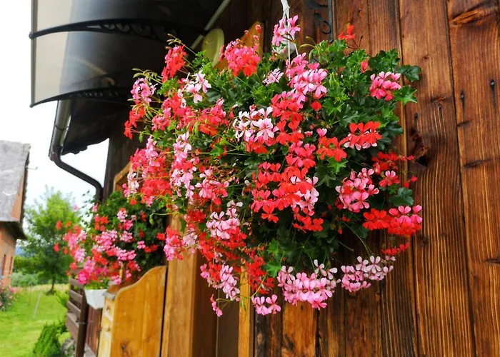 Σπίτι διακοπών Wies Odnowa Krynica Zdroj