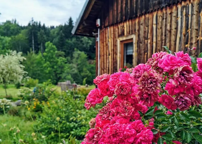 Wies Odnowa Σπίτι διακοπών Krynica Zdroj