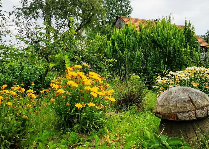 Wies Odnowa Σπίτι διακοπών Krynica Zdroj